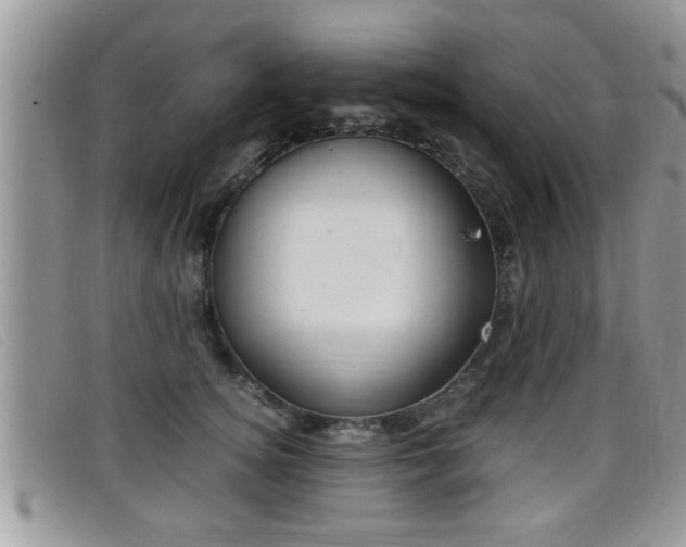 X0000099430756200805090726