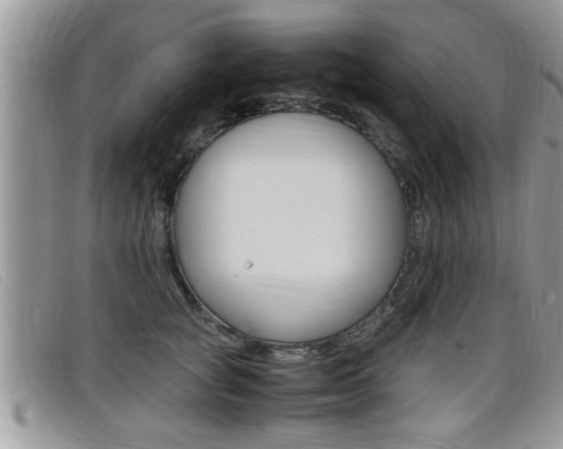 X0000099430757200805090726
