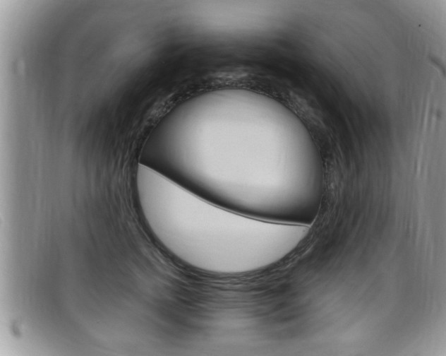 X0000099430758200805090726