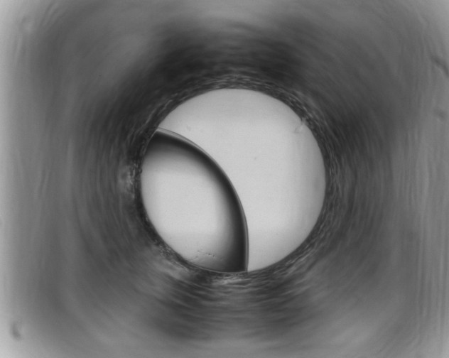 X0000099430759200805090726