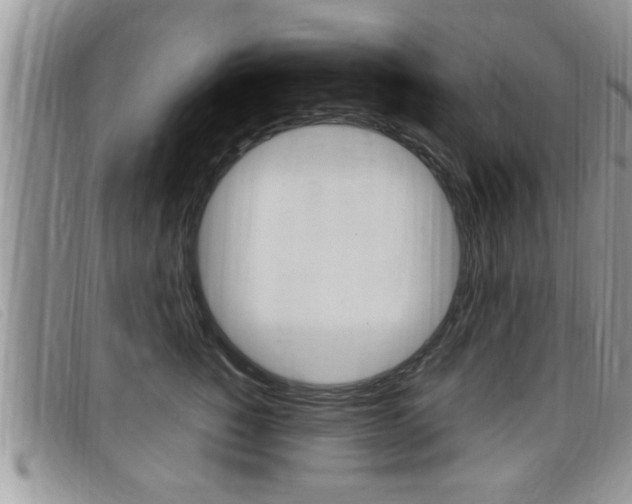 X0000099430760200805090726