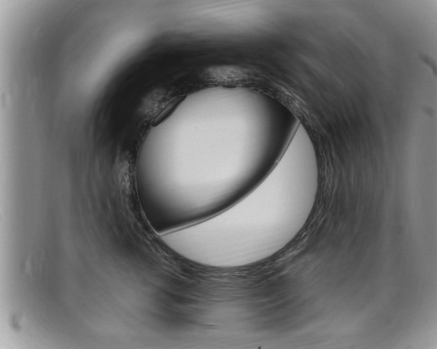 X0000099430762200805090726