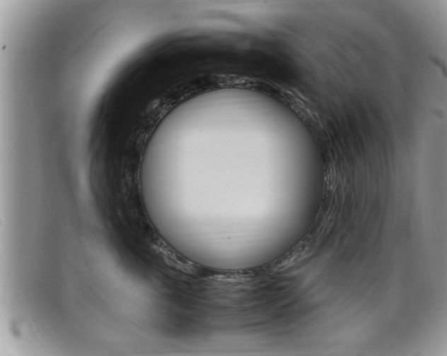 X0000099430763200805090726