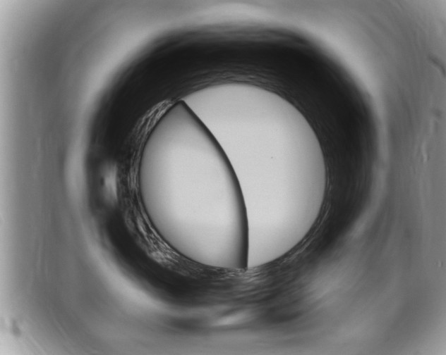X0000099430765200805090726