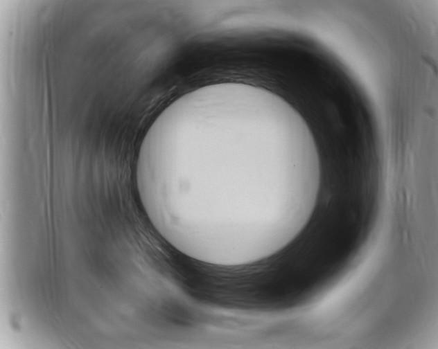 X0000099430766200805090726