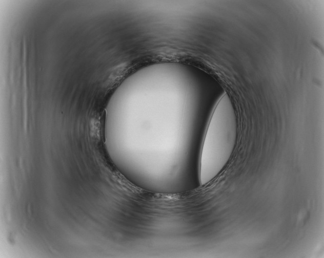 X0000099430768200805090726