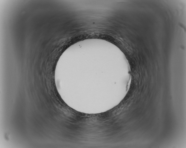 X0000099430769200805090726