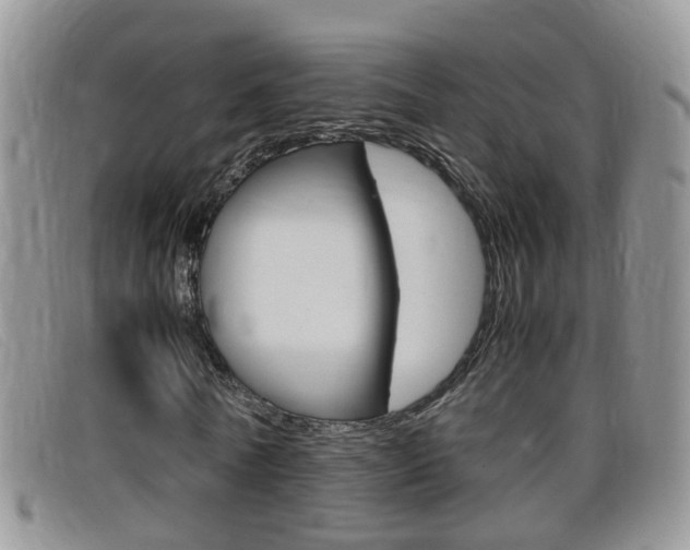 X0000099430770200805090726