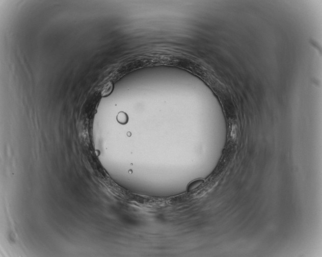 X0000099430771200805090726