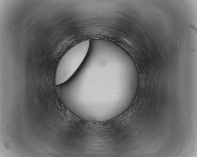 X0000099430774200805090726