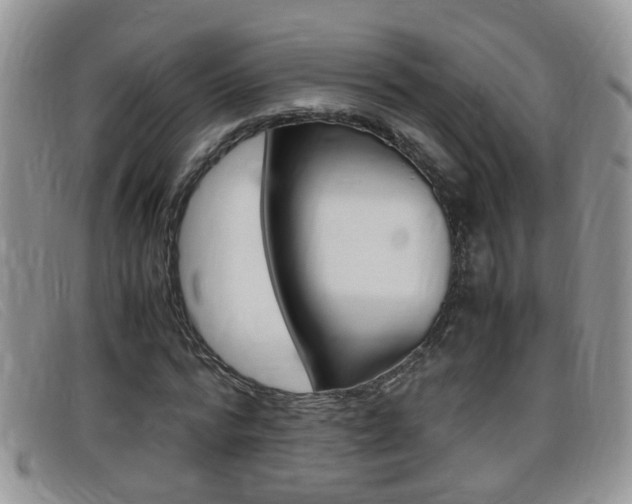 X0000099430776200805090726