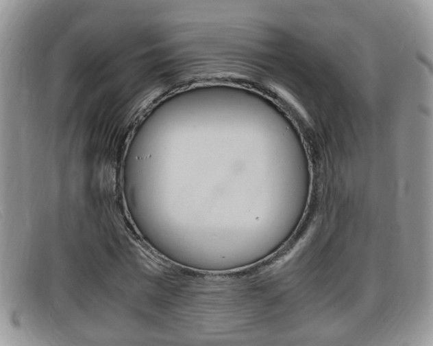 X0000099430777200805090726