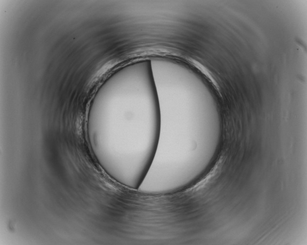X0000099430778200805090726