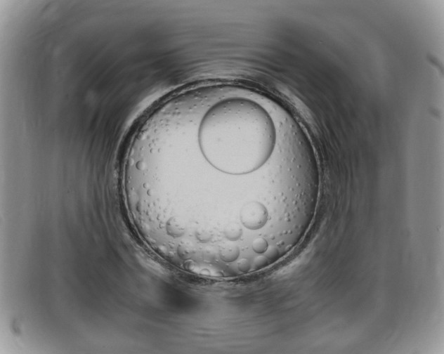 X0000099430779200805090726