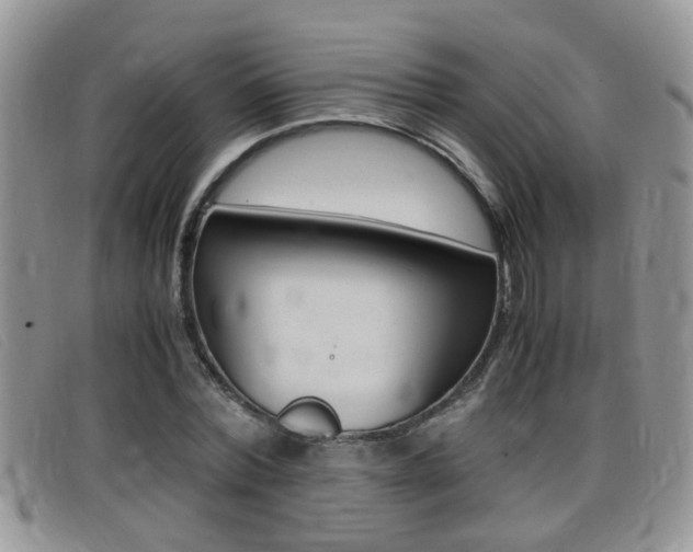 X0000099430780200805090726