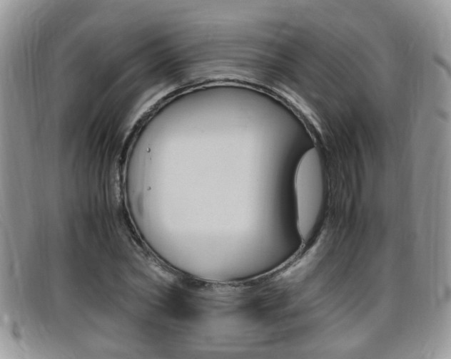 X0000099430782200805090726