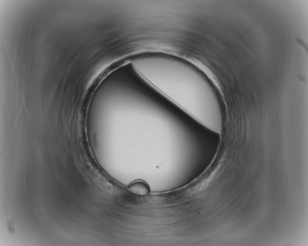 X0000099430783200805090726