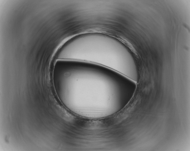 X0000099430784200805090726
