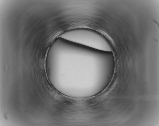 X0000099430785200805090726
