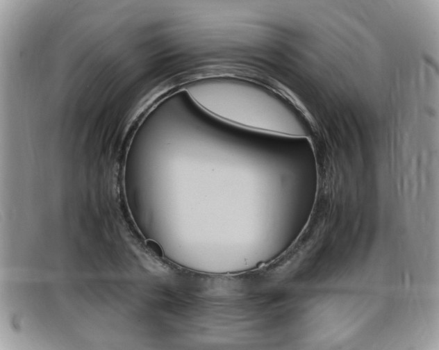 X0000099430786200805090726