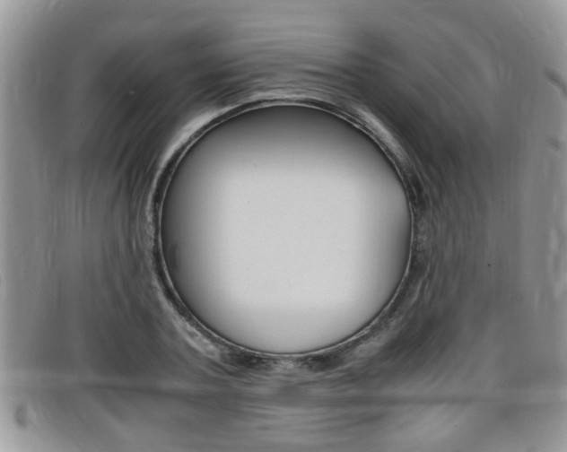 X0000099430787200805090726