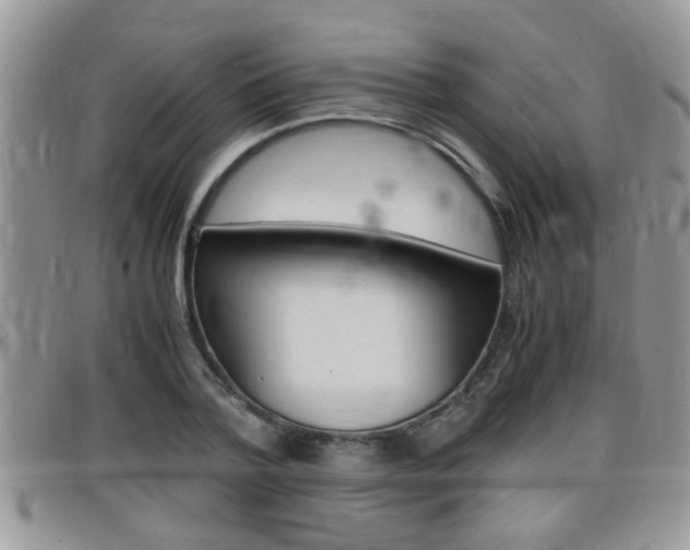 X0000099430788200805090726
