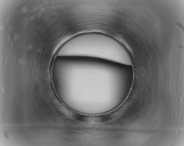 X0000099430789200805090726