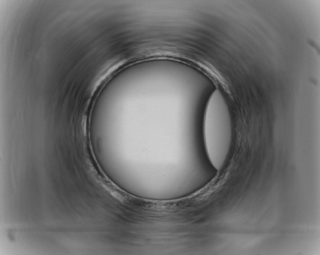 X0000099430790200805090726