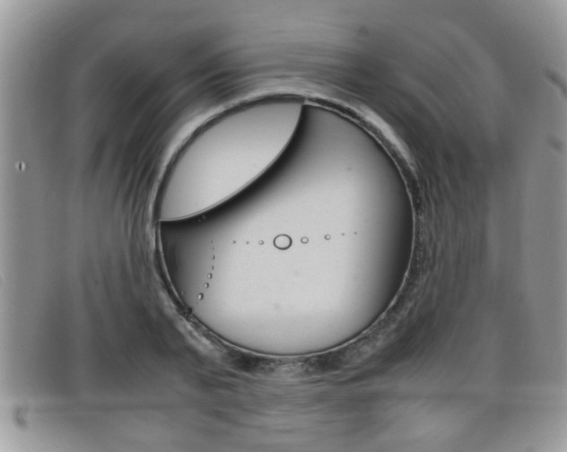 X0000099430791200805090726