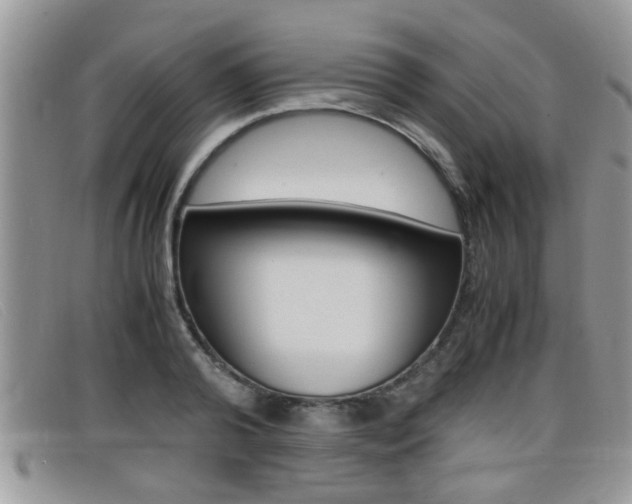 X0000099430792200805090725