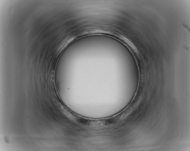 X0000099430793200805090725