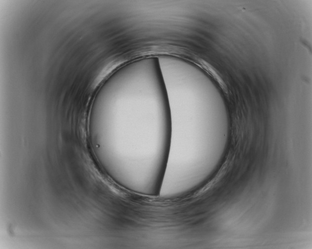 X0000099430794200805090725