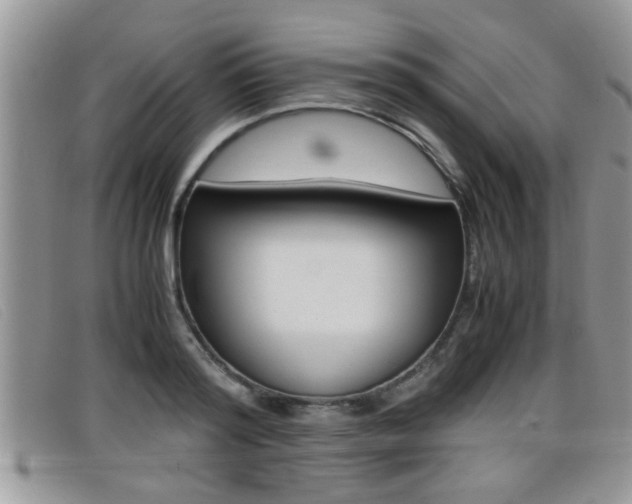 X0000099430796200805090725