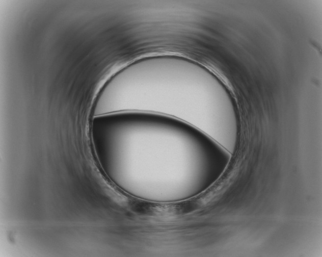 X0000099430797200805090725