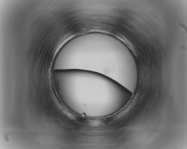 X0000099430798200805090725
