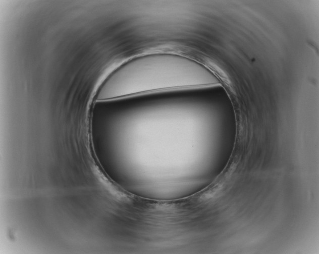X0000099430800200805090725