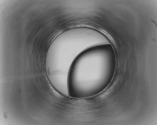 X0000099430801200805090725