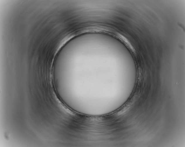 X0000099430802200805090725