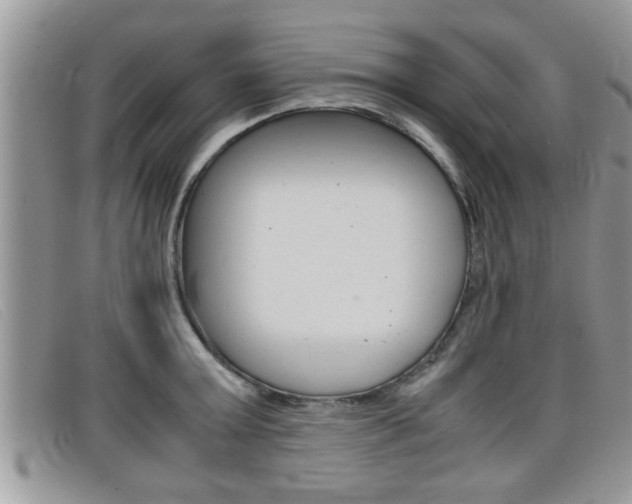 X0000099430803200805090725