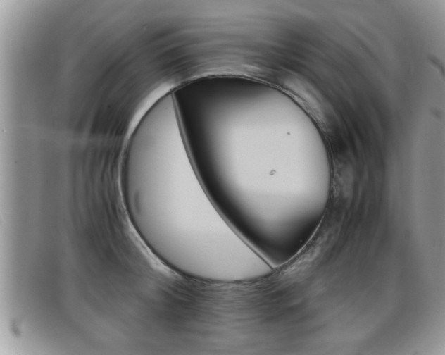 X0000099430804200805090725