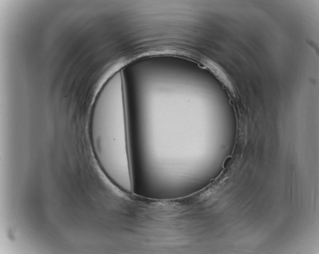X0000099430805200805090725