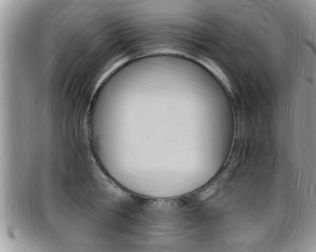 X0000099430806200805090725