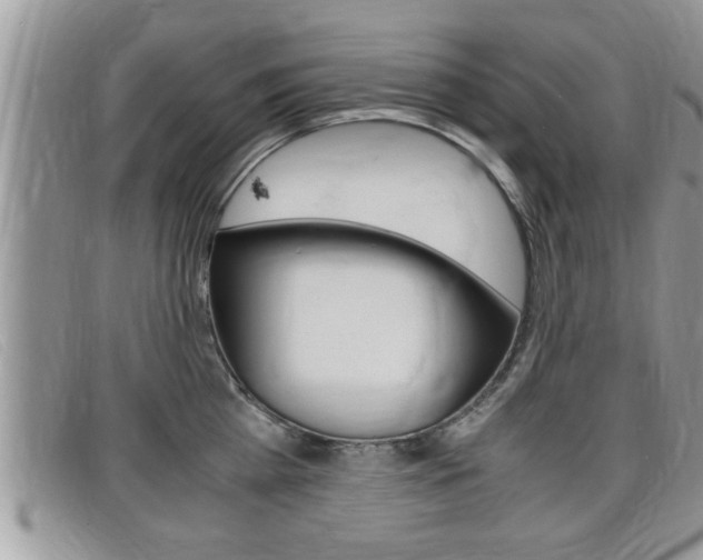 X0000099430809200805090725