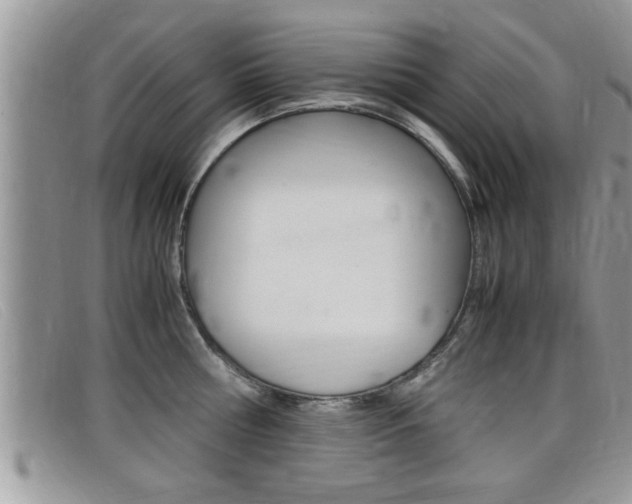 X0000099430810200805090725