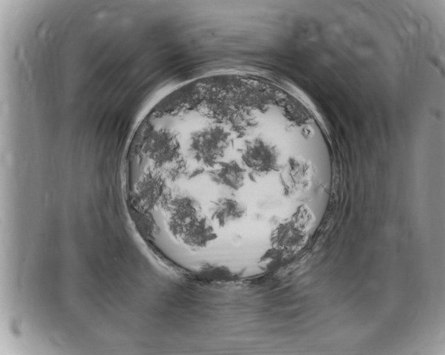 X0000099430811200805090725