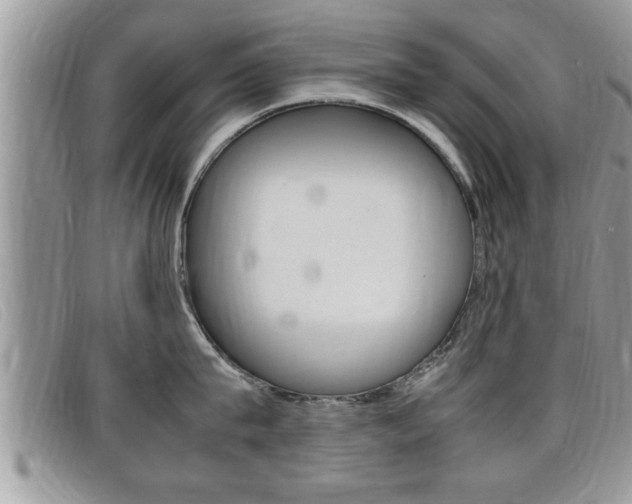 X0000099430815200805090725