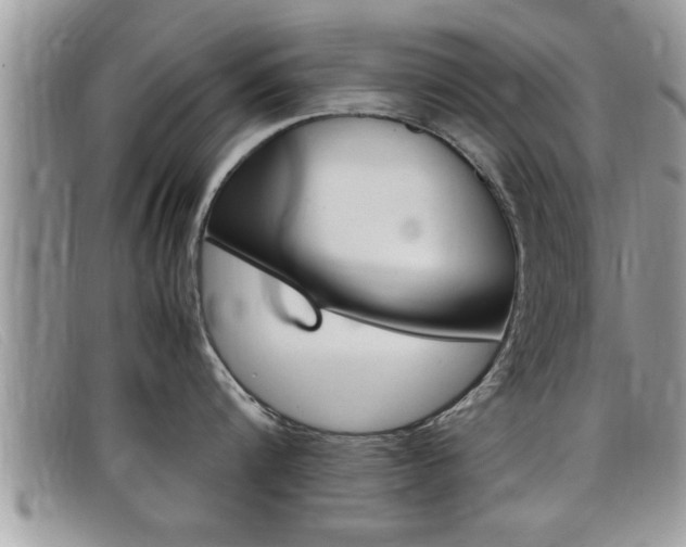 X0000099430816200805090725