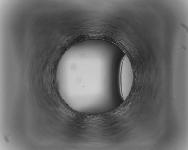 X0000099430817200805090725