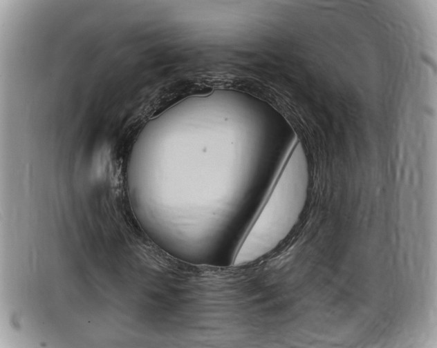 X0000099430818200805090725