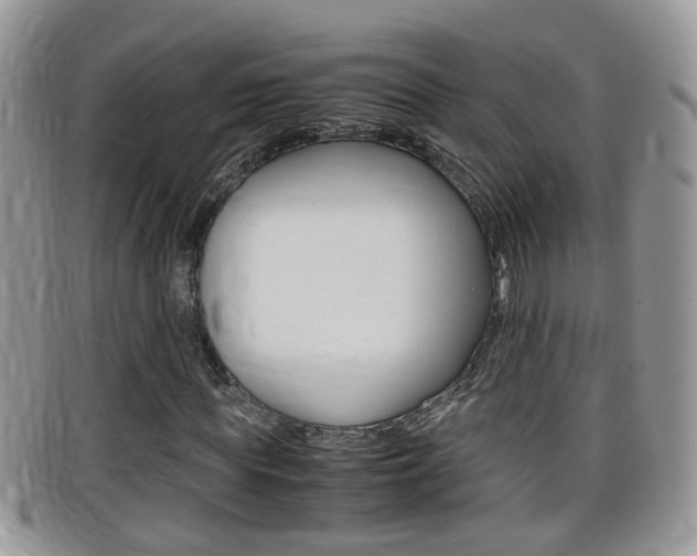 X0000099430819200805090725